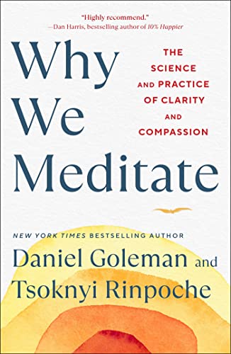 WHY WE MEDITATE, by GOLEMAN , D